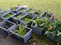 Demonstration planting in Mělník